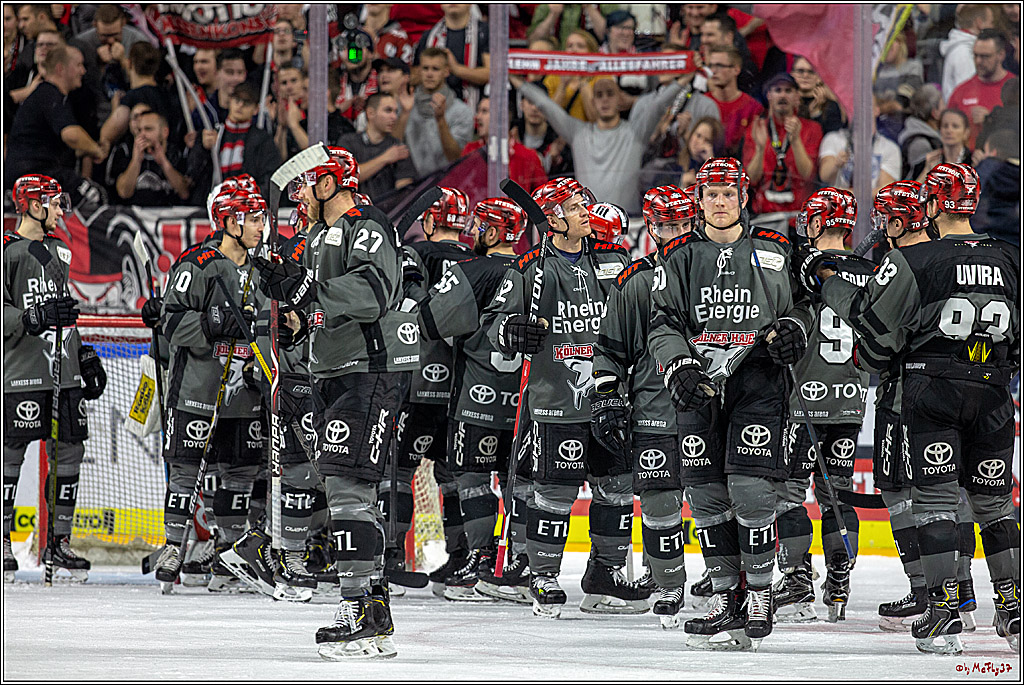 DEL; Koelner Haie - Straubing Tigers, 02.12.2018